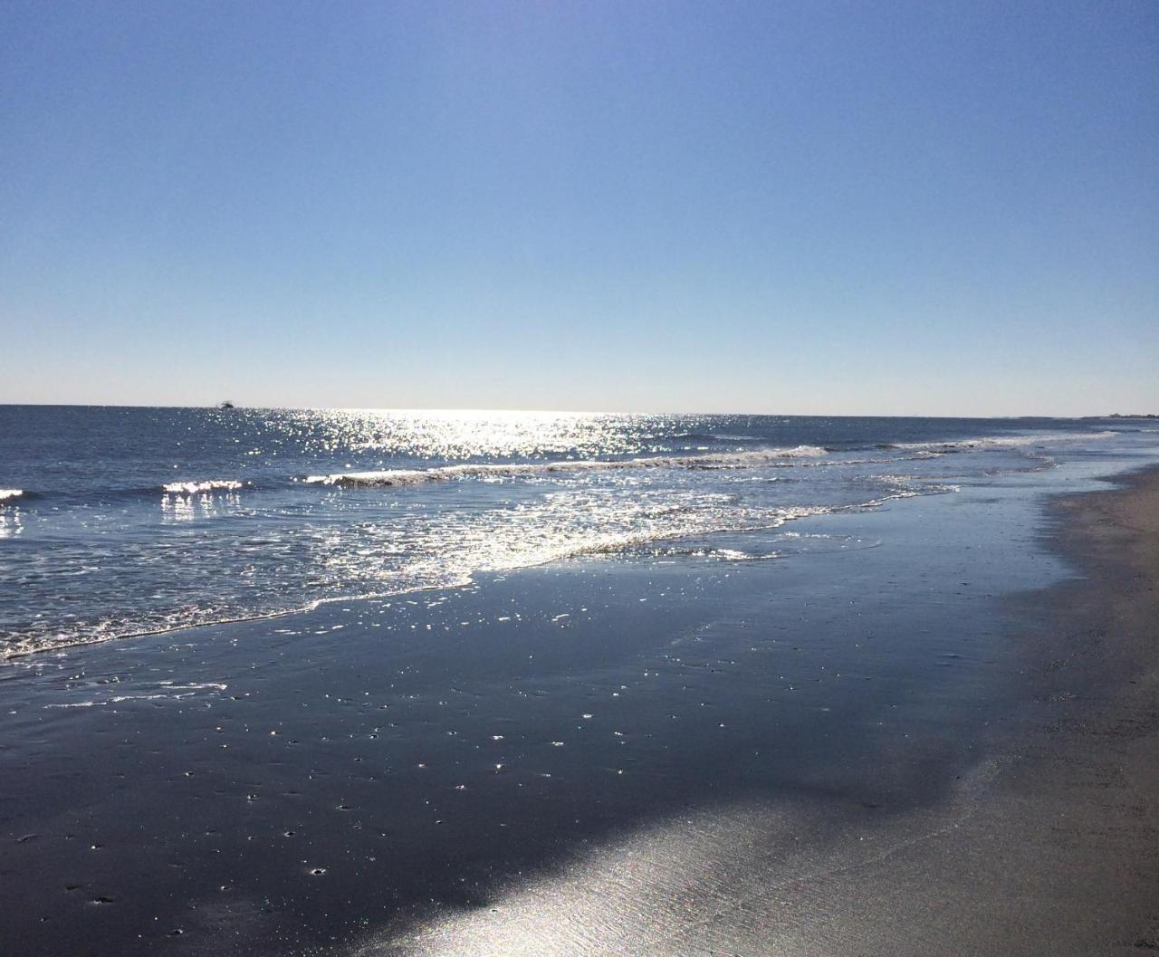 Blue Dolphin And Grand Isle