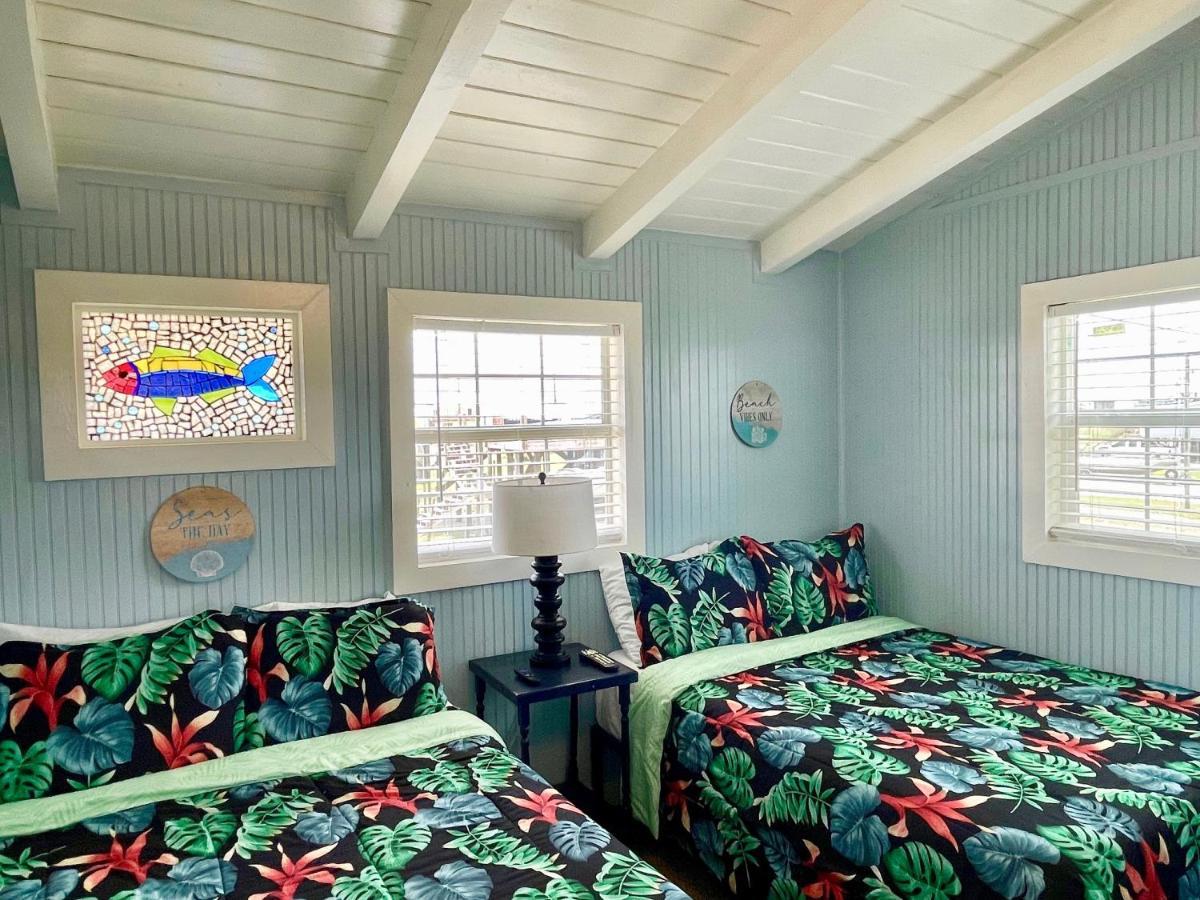 Blue Dolphin And